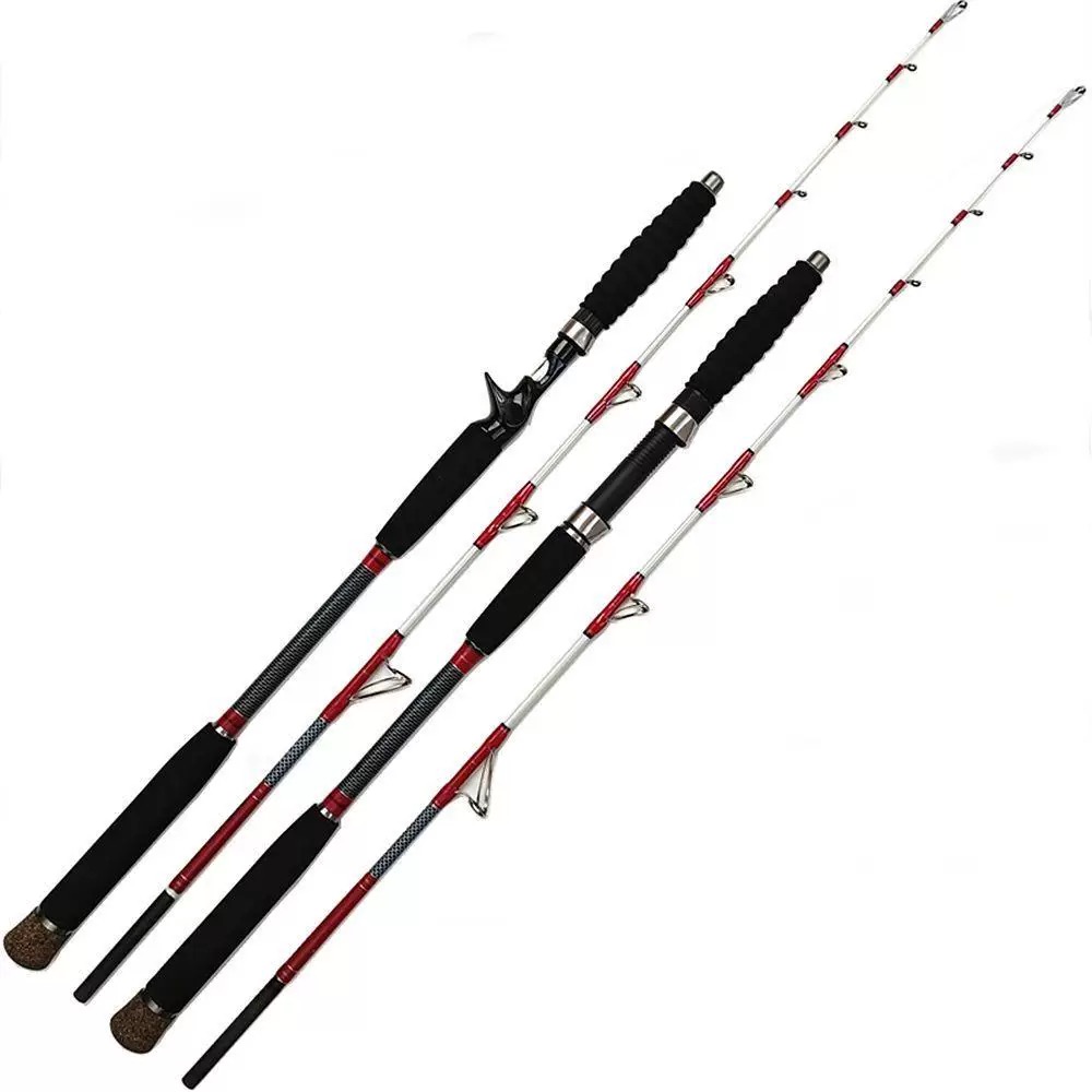 1.6M Saltwater Offshore 100-30 - огляд і ціна Fishing Rod Surf